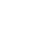 Fast Delivery